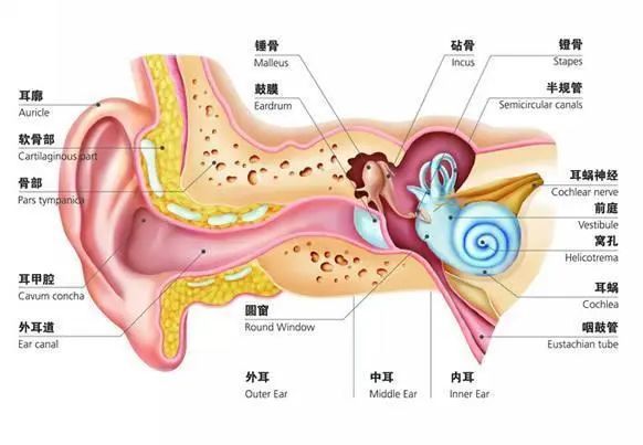 西安治療耳鳴的(de)醫院